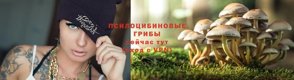 ALPHA PVP Покров
