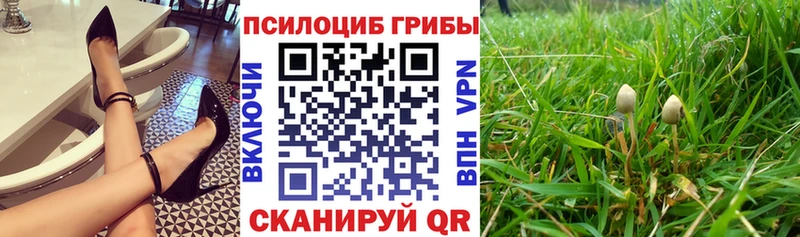 закладка  Мариинск  kraken сайт  Галлюциногенные грибы MAGIC MUSHROOMS 